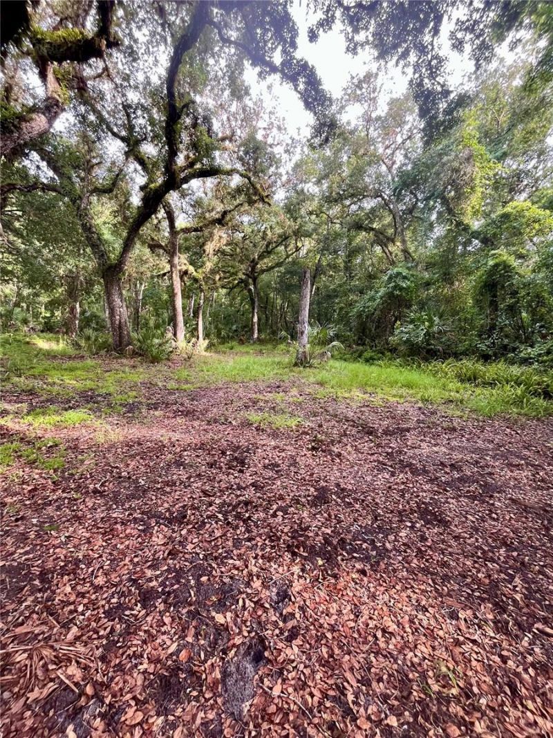 2260 Panorama Drive, Chuluota, FL 32766 Photo