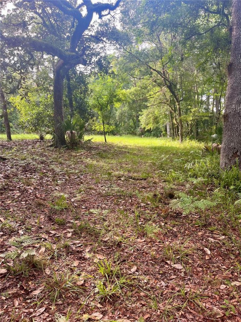 2260 Panorama Drive, Chuluota, FL 32766 Photo