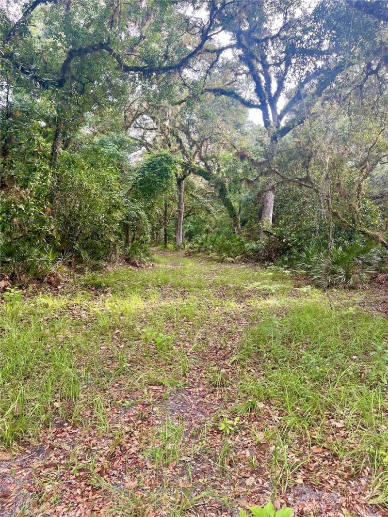 2260 Panorama Drive, Chuluota, FL 32766 Photo