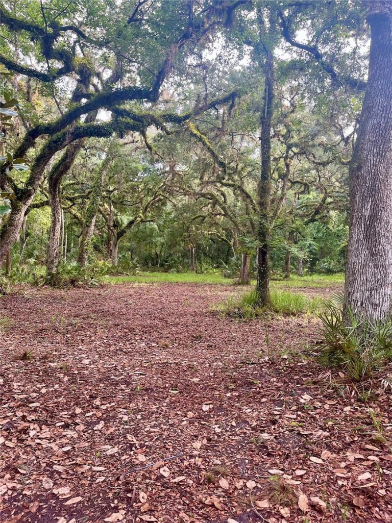 2260 Panorama Drive, Chuluota, FL 32766 Photo