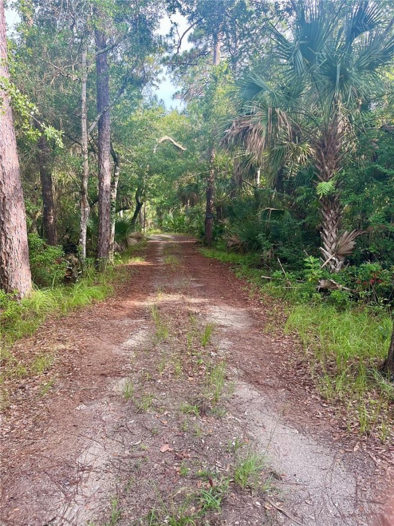 2260 Panorama Drive, Chuluota, FL 32766 Photo