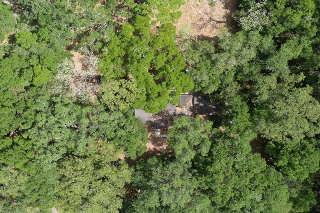 17611 NW 266th Street , High Springs, FL 32643 Photo