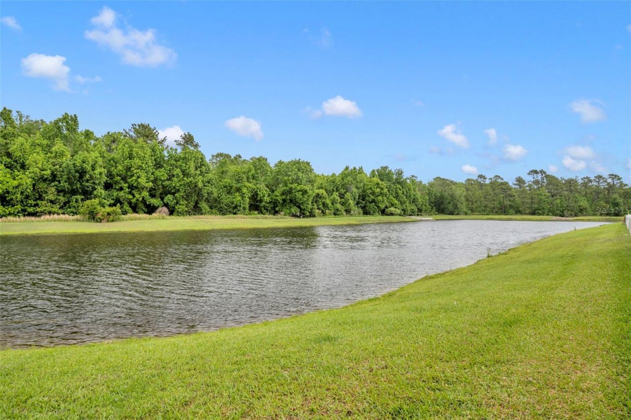 14521 Michener Trail , Orlando, FL 32828 Photo