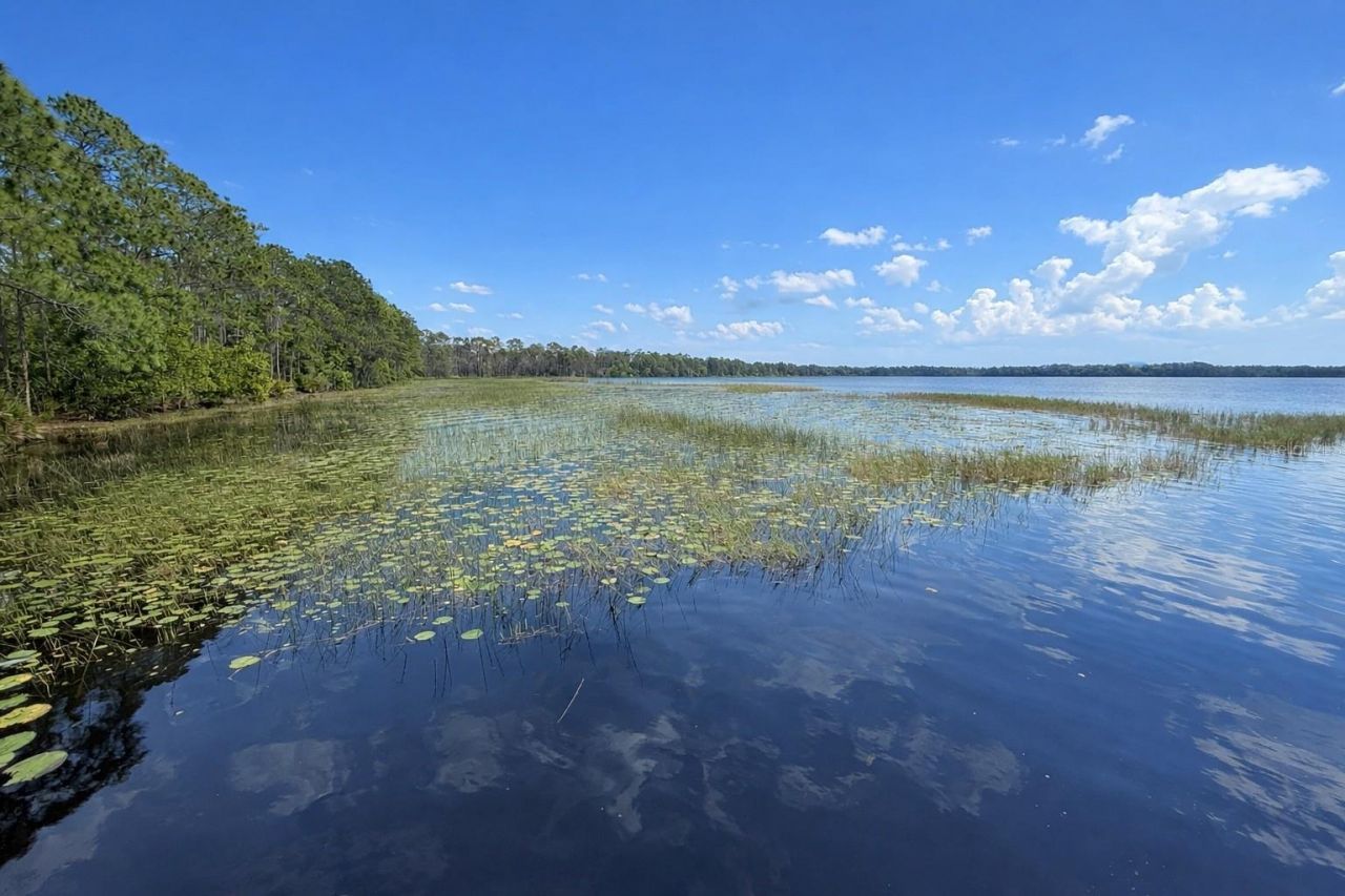 1813 Lakewood Drive , Saint Cloud, FL 34771 Photo