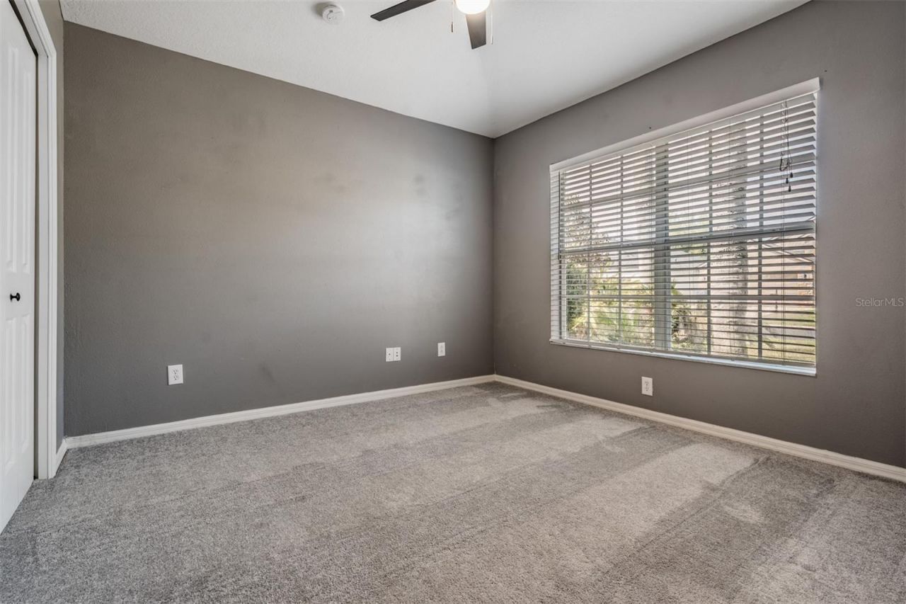 2634 Palesta Drive, Trinity, FL 34655 Photo