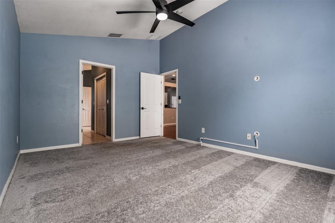 2634 Palesta Drive, Trinity, FL 34655 Photo