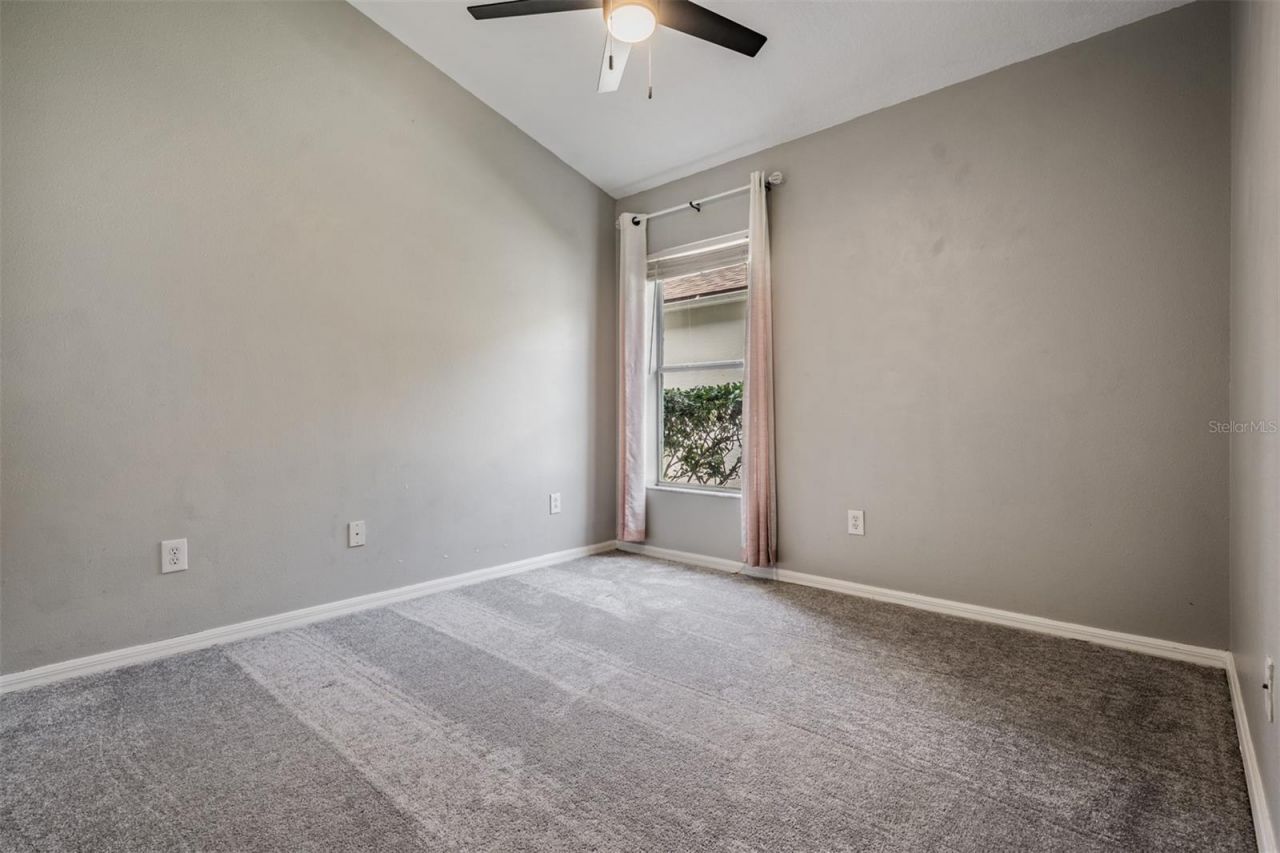 2634 Palesta Drive, Trinity, FL 34655 Photo