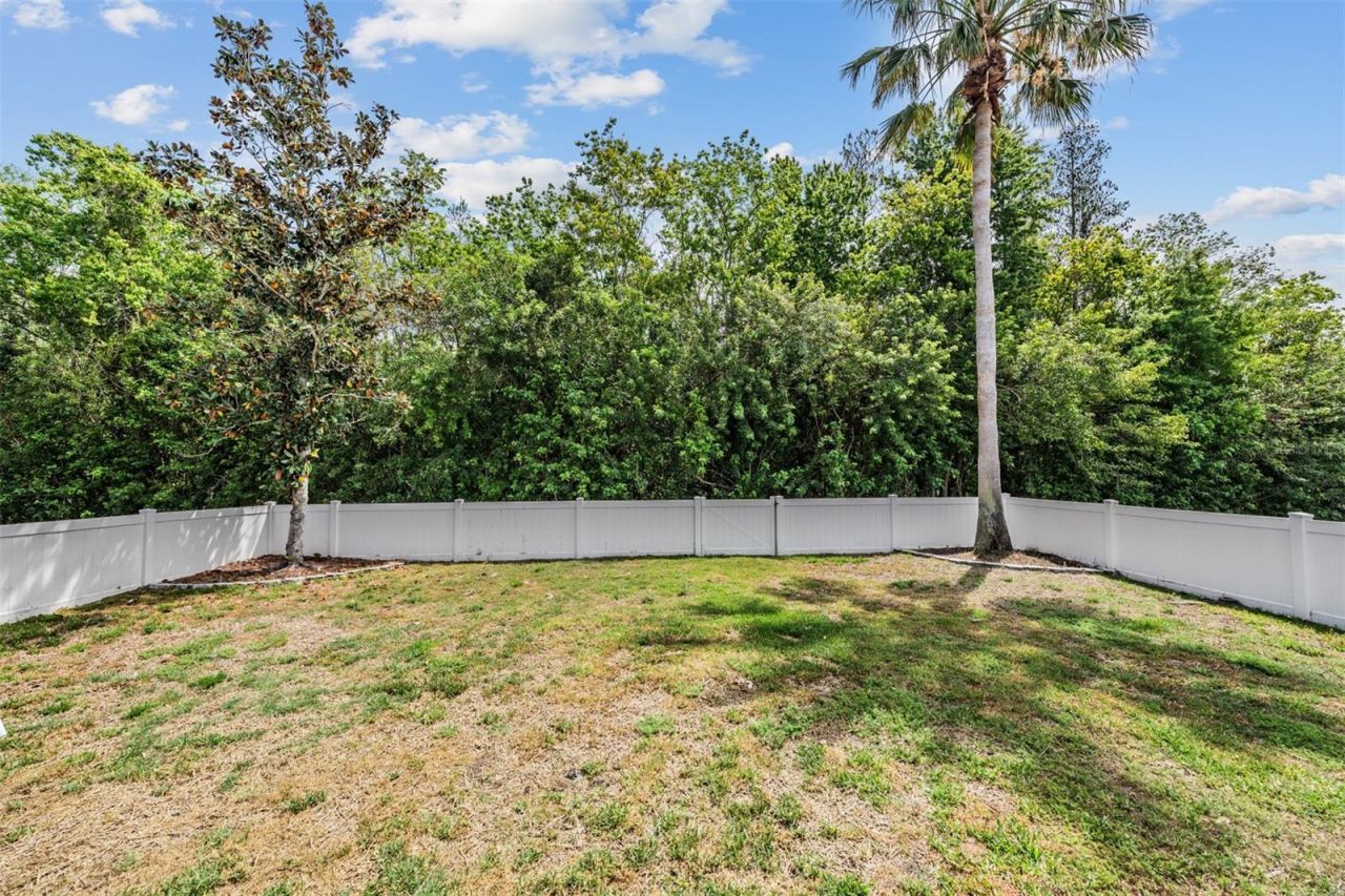 2634 Palesta Drive, Trinity, FL 34655 Photo