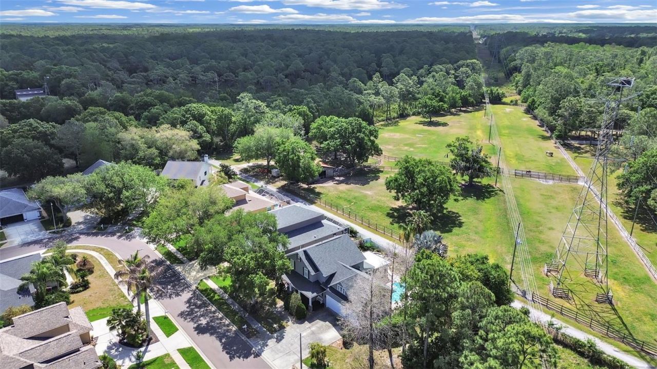 1083 Misty Hollow Lane , Tarpon Springs, FL 34688 Photo