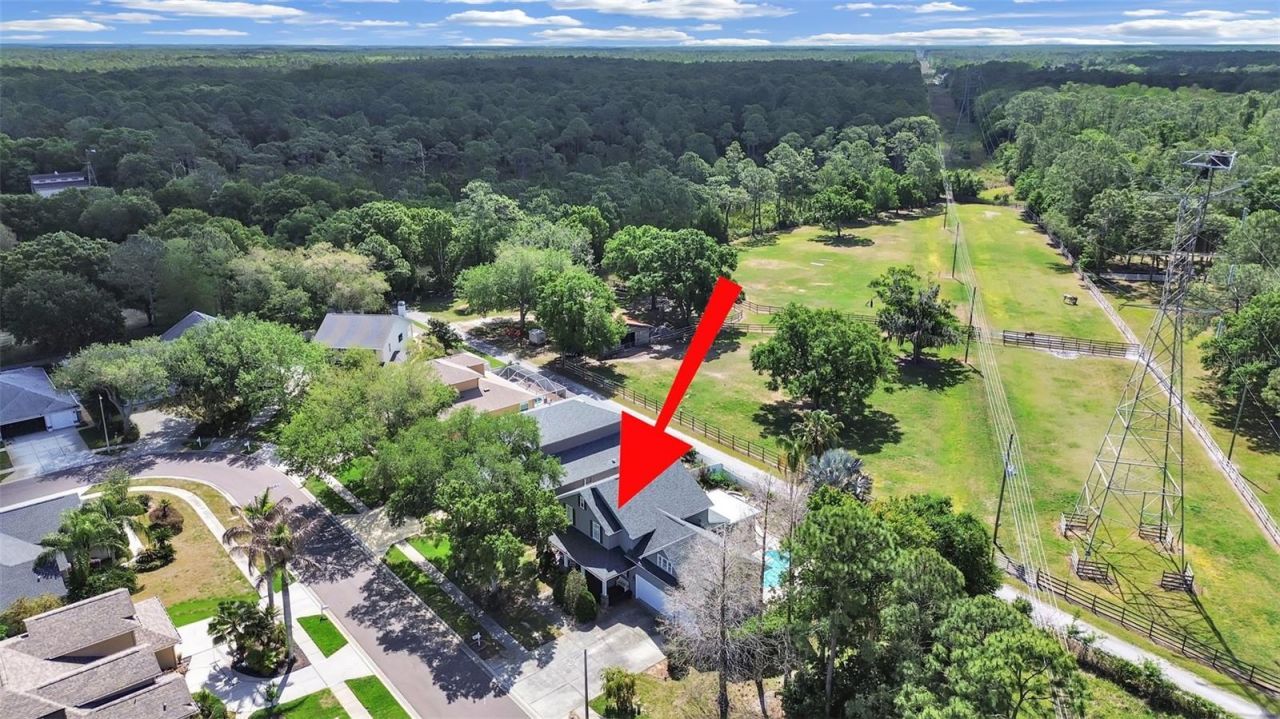 1083 Misty Hollow Lane , Tarpon Springs, FL 34688 Photo