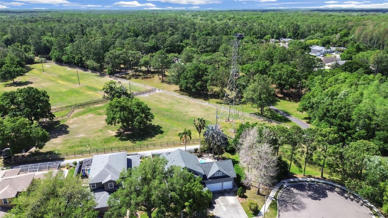 1083 Misty Hollow Lane , Tarpon Springs, FL 34688 Photo