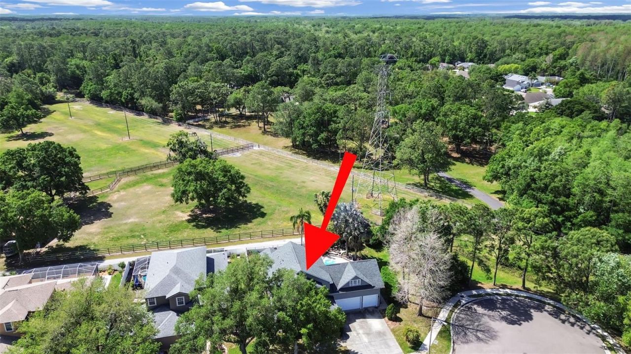 1083 Misty Hollow Lane , Tarpon Springs, FL 34688 Photo