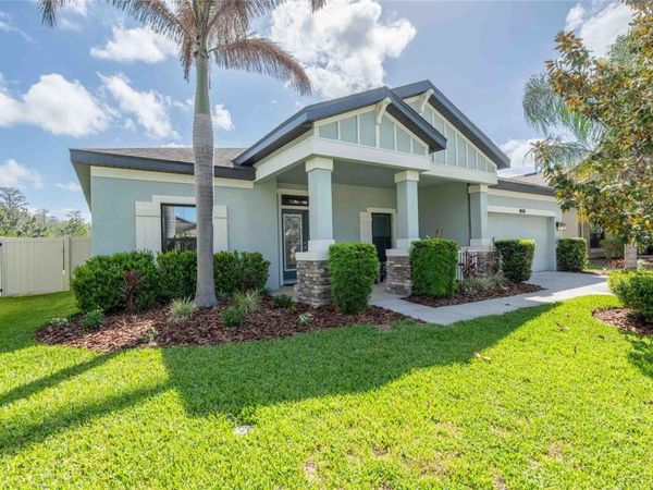 8306 BLUEVINE SKY DRIVE , LAND O LAKES, FL 34637