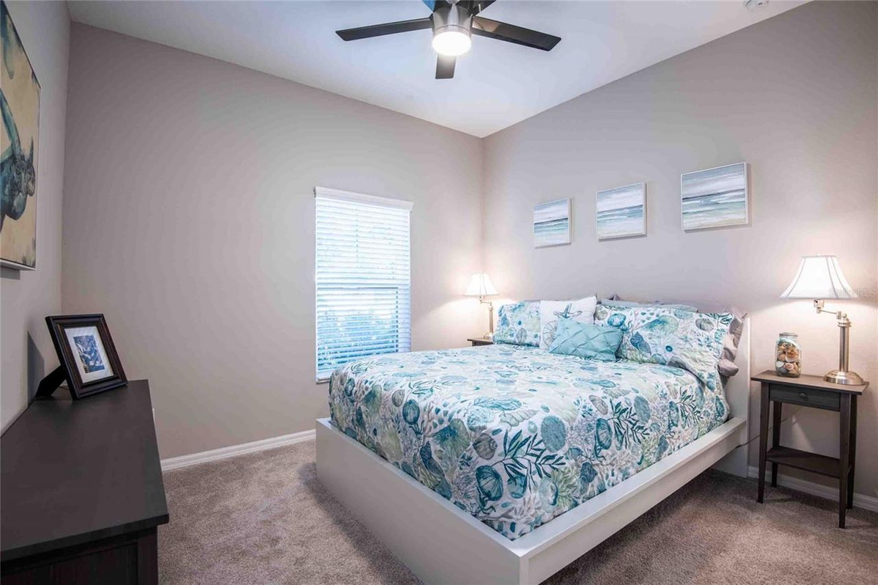 8306 Bluevine Sky Drive, Land O Lakes, FL 34637 Photo