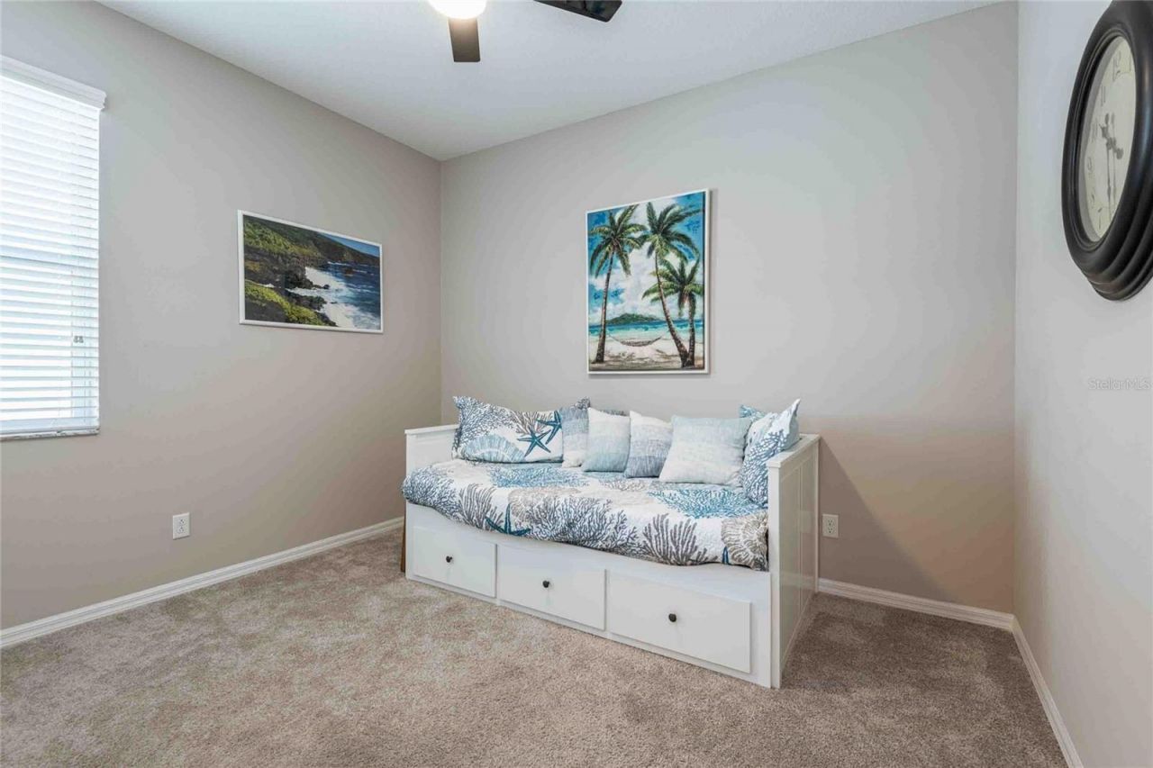 8306 Bluevine Sky Drive, Land O Lakes, FL 34637 Photo