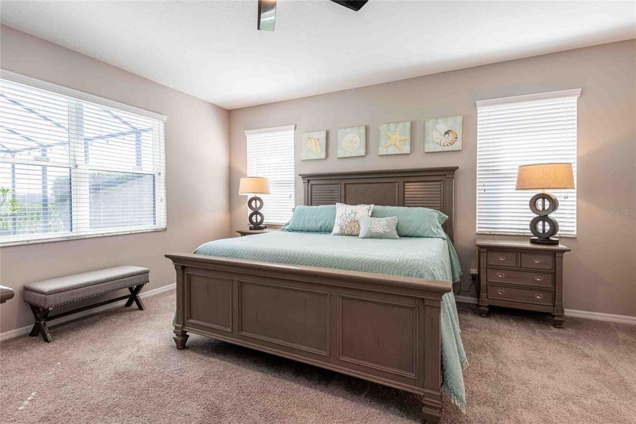 8306 Bluevine Sky Drive, Land O Lakes, FL 34637 Photo