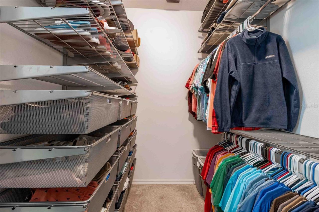 8306 Bluevine Sky Drive, Land O Lakes, FL 34637 Photo