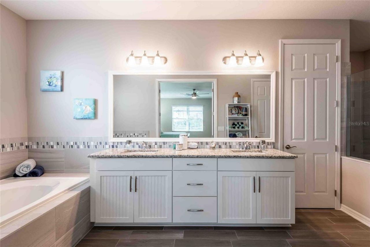 8306 Bluevine Sky Drive, Land O Lakes, FL 34637 Photo