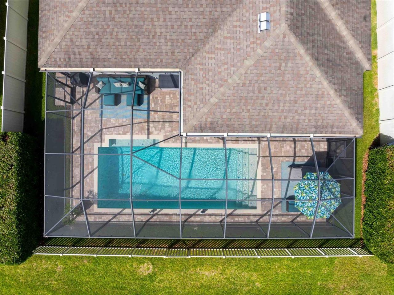 8306 Bluevine Sky Drive, Land O Lakes, FL 34637 Photo