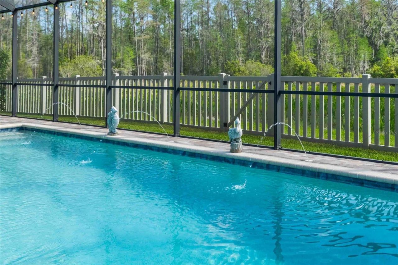 8306 Bluevine Sky Drive, Land O Lakes, FL 34637 Photo