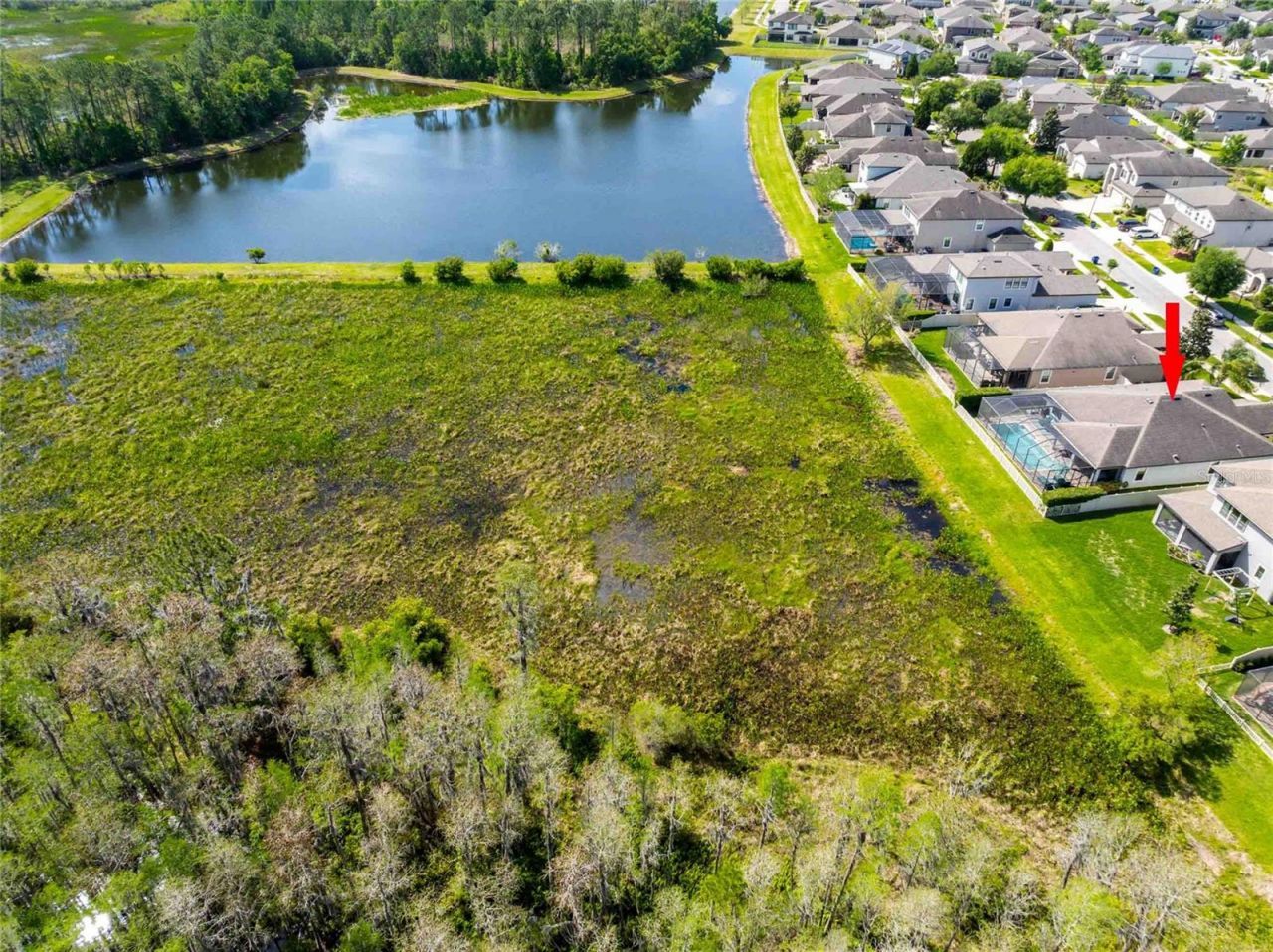 8306 Bluevine Sky Drive, Land O Lakes, FL 34637 Photo