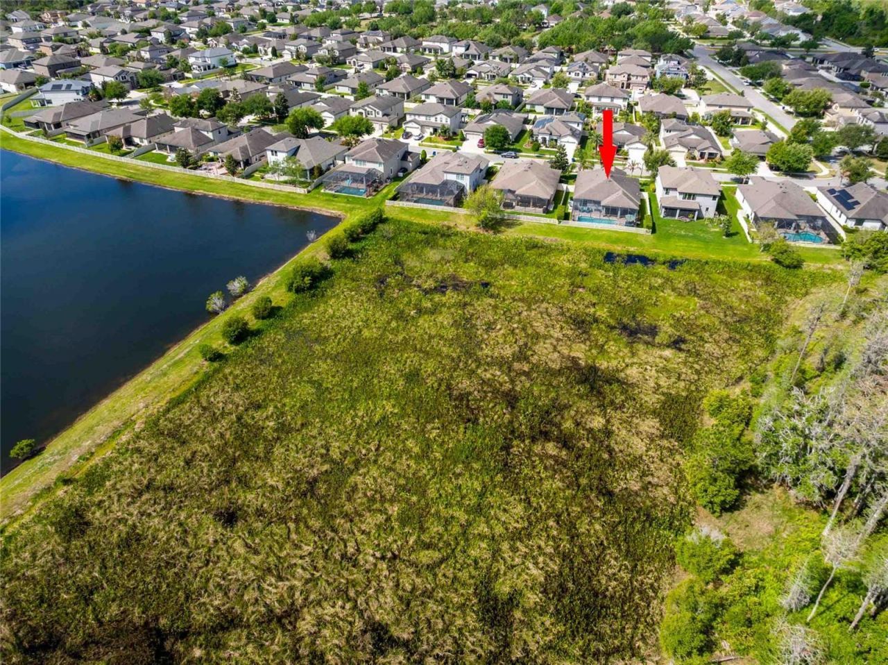 8306 Bluevine Sky Drive, Land O Lakes, FL 34637 Photo