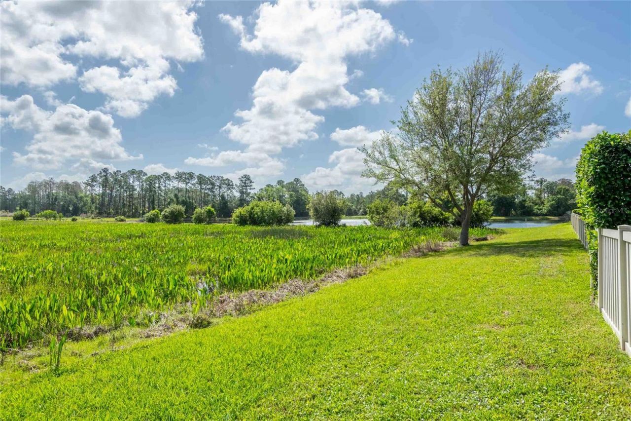8306 Bluevine Sky Drive, Land O Lakes, FL 34637 Photo