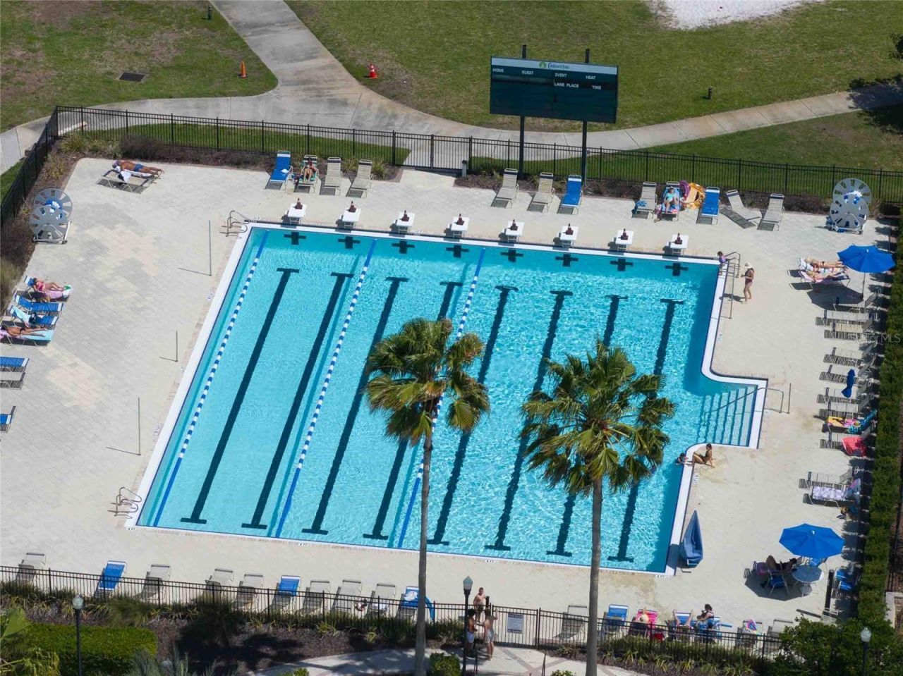 8306 Bluevine Sky Drive, Land O Lakes, FL 34637 Photo