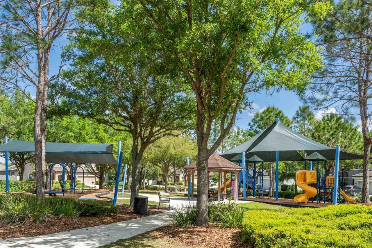 8306 Bluevine Sky Drive, Land O Lakes, FL 34637 Photo