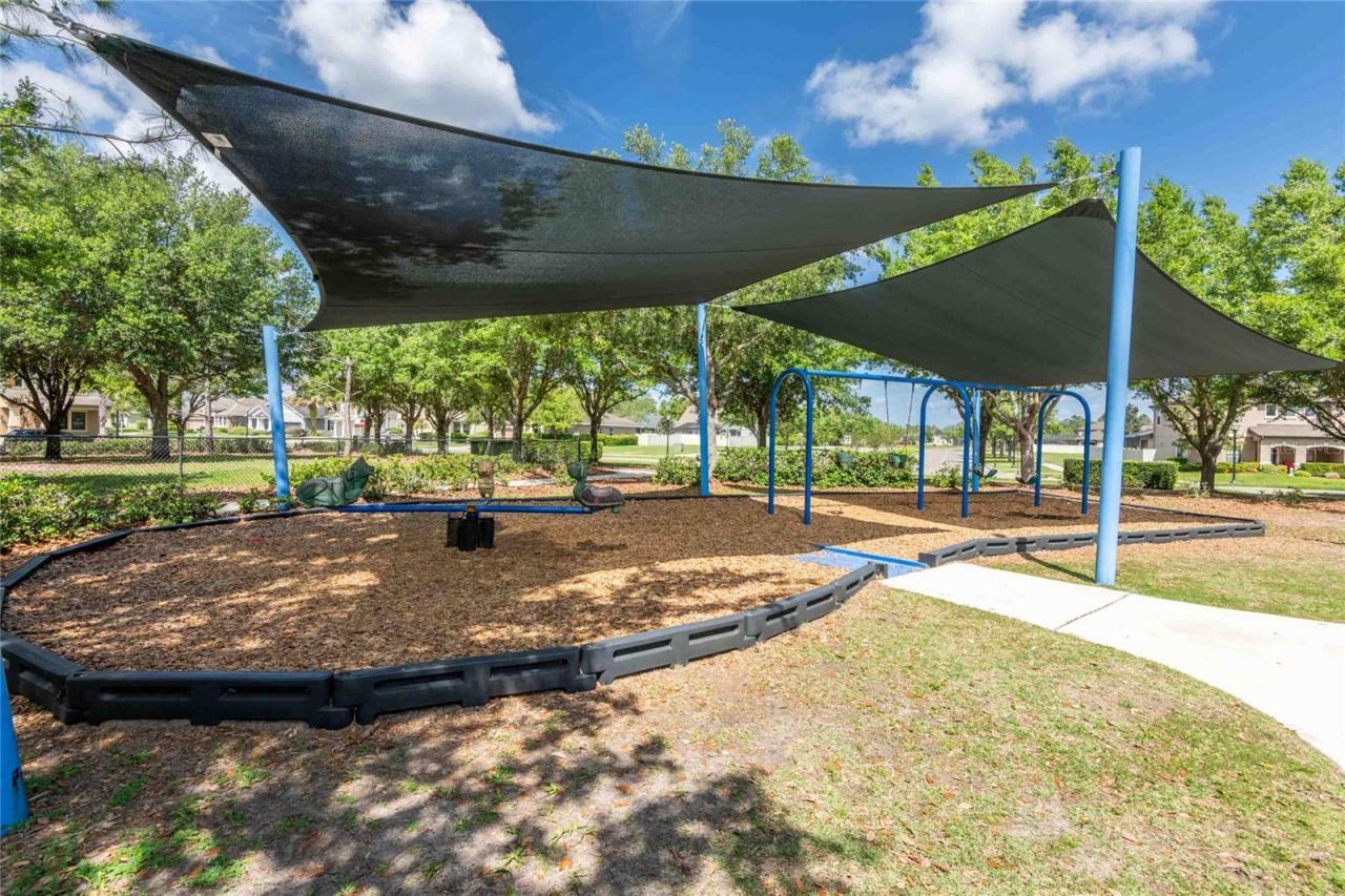 8306 Bluevine Sky Drive, Land O Lakes, FL 34637 Photo