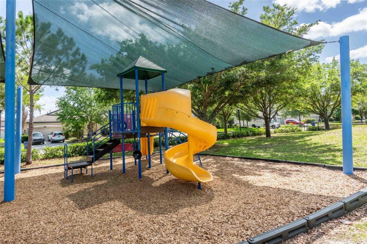 8306 Bluevine Sky Drive, Land O Lakes, FL 34637 Photo