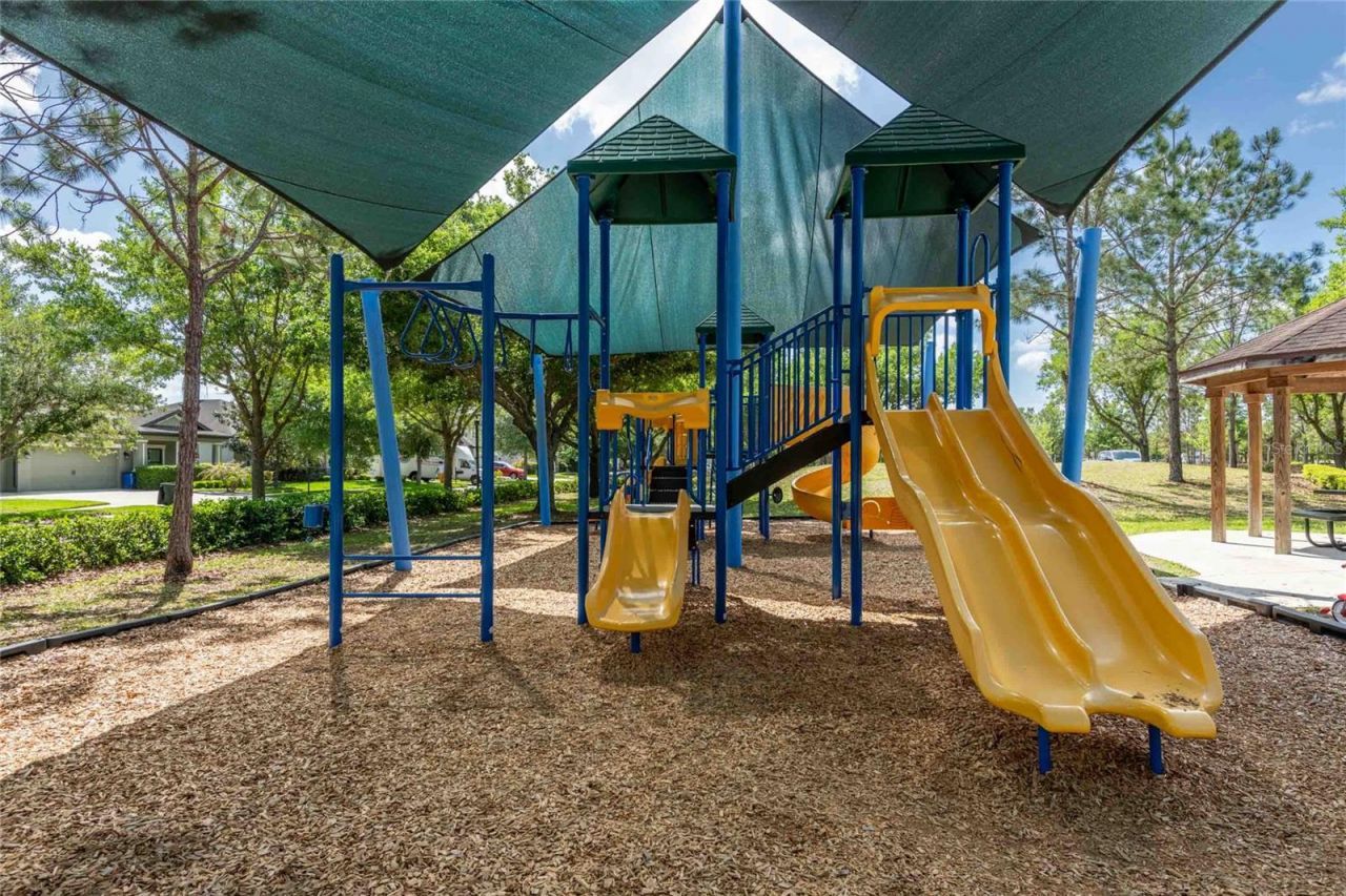 8306 Bluevine Sky Drive, Land O Lakes, FL 34637 Photo