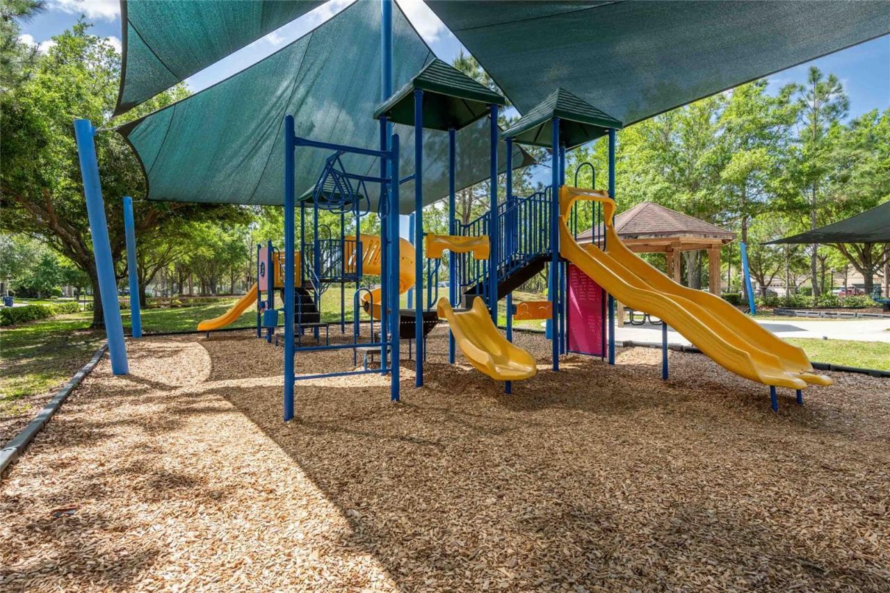 8306 Bluevine Sky Drive, Land O Lakes, FL 34637 Photo