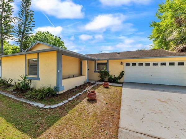 10320 OUT ISLAND DRIVE , TAMPA, FL 33615