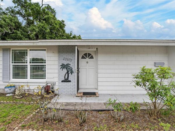 10101 MARIPOSA PLACE , TAMPA, FL 33619