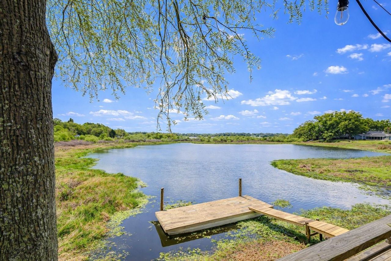 1216 Brandon Lakes Avenue, Valrico, FL 33594 Photo