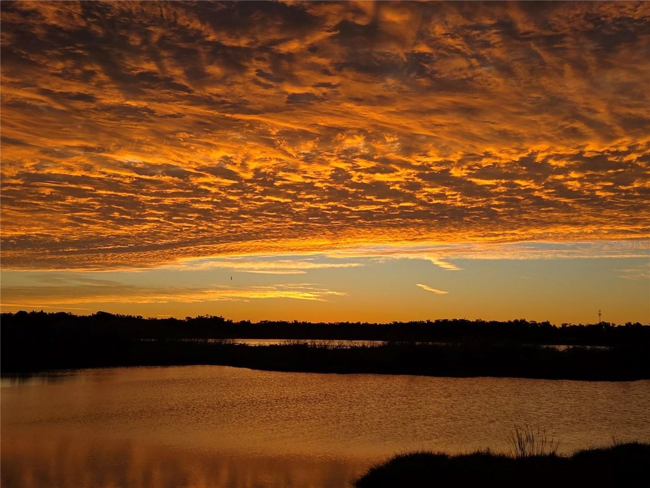 1216 Brandon Lakes Avenue, Valrico, FL 33594 Photo