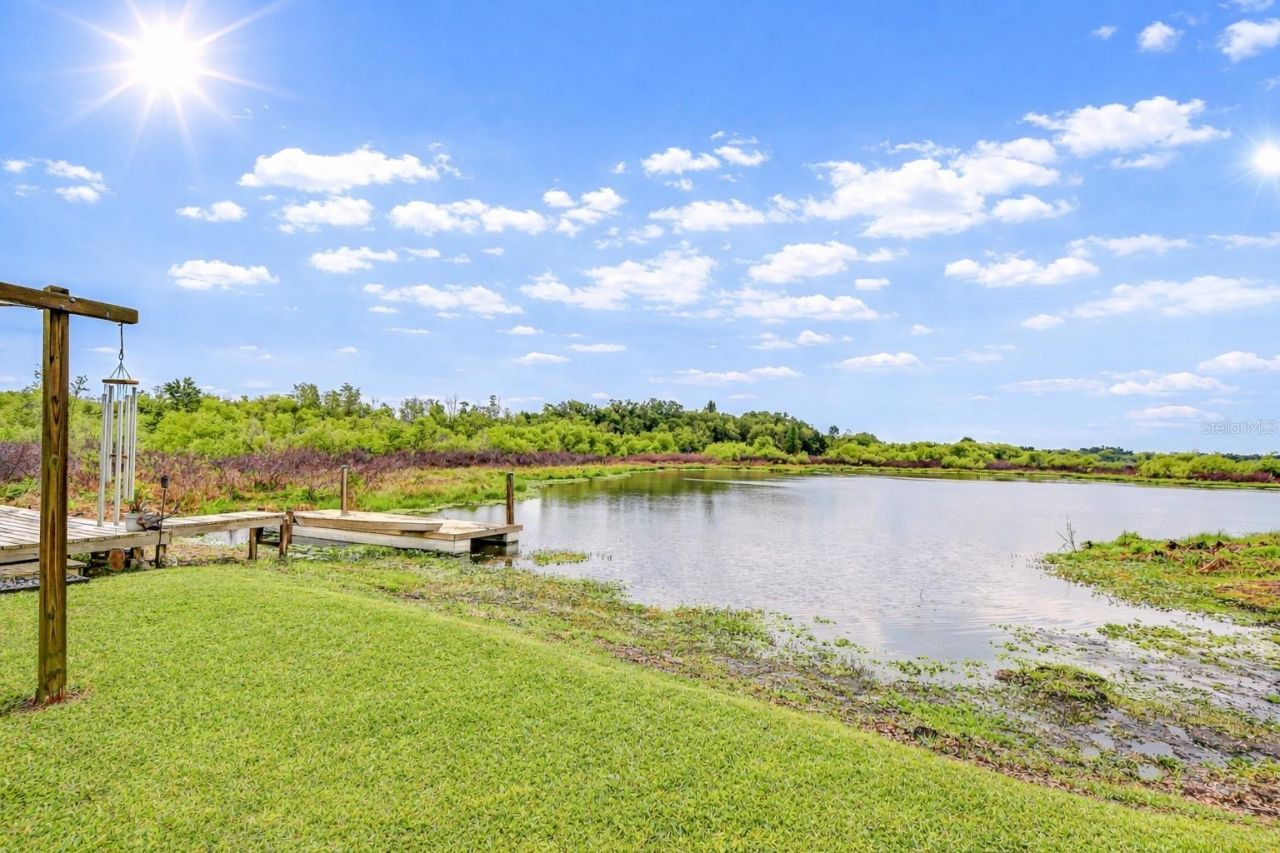 1216 Brandon Lakes Avenue, Valrico, FL 33594 Photo