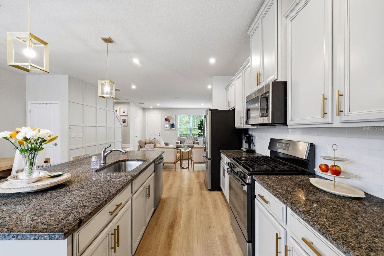 14819 Promenade Parkway, Odessa, FL 33556 Photo