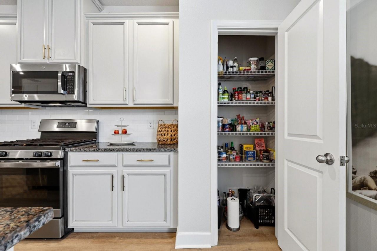 14819 Promenade Parkway, Odessa, FL 33556 Photo