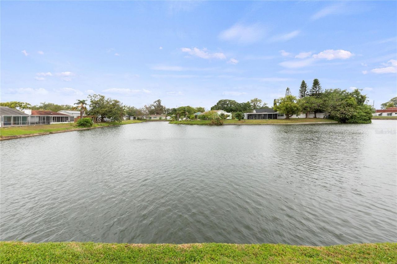 3409 Springfield Drive, Holiday, FL 34691 Photo
