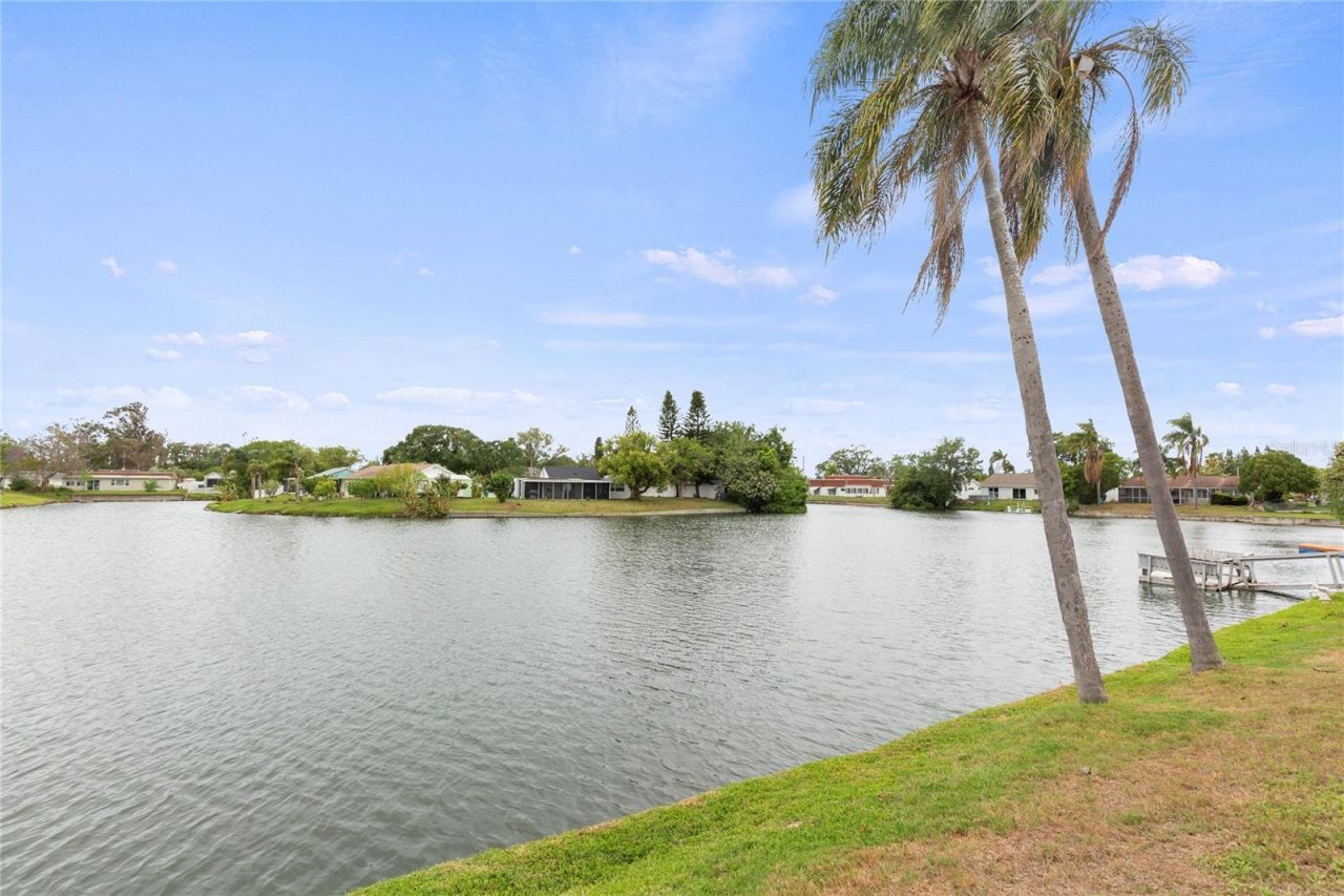 3409 Springfield Drive, Holiday, FL 34691 Photo