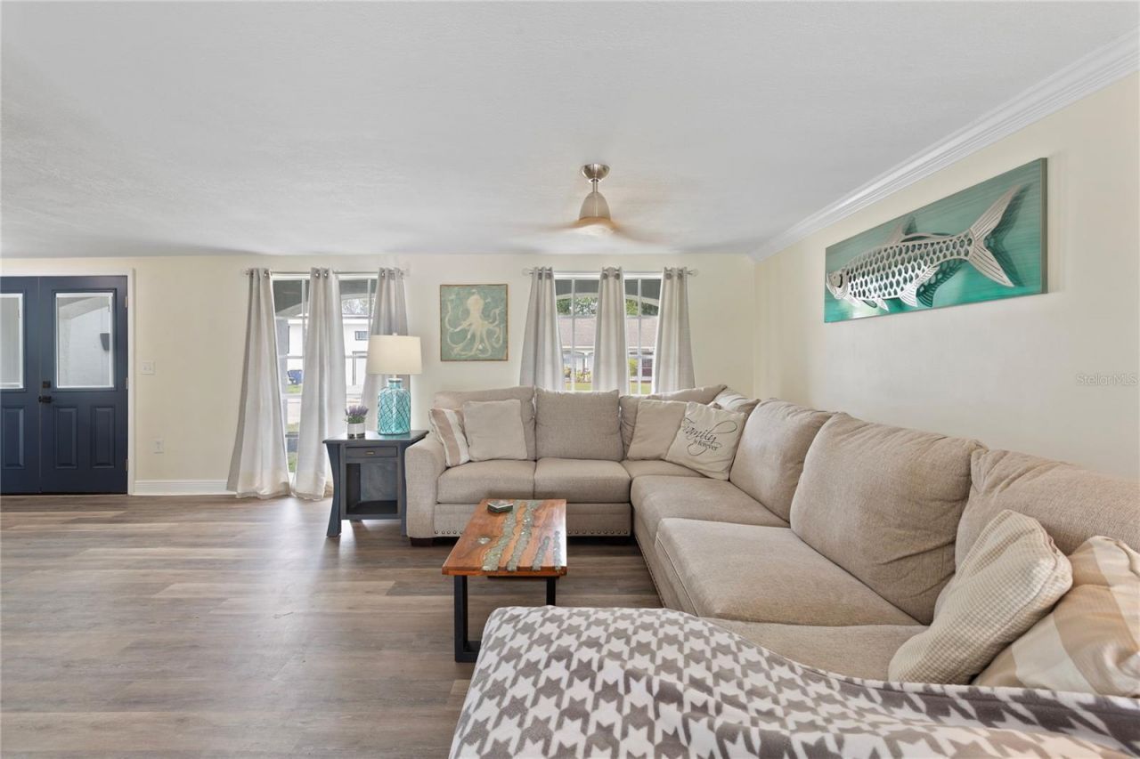 3409 Springfield Drive, Holiday, FL 34691 Photo