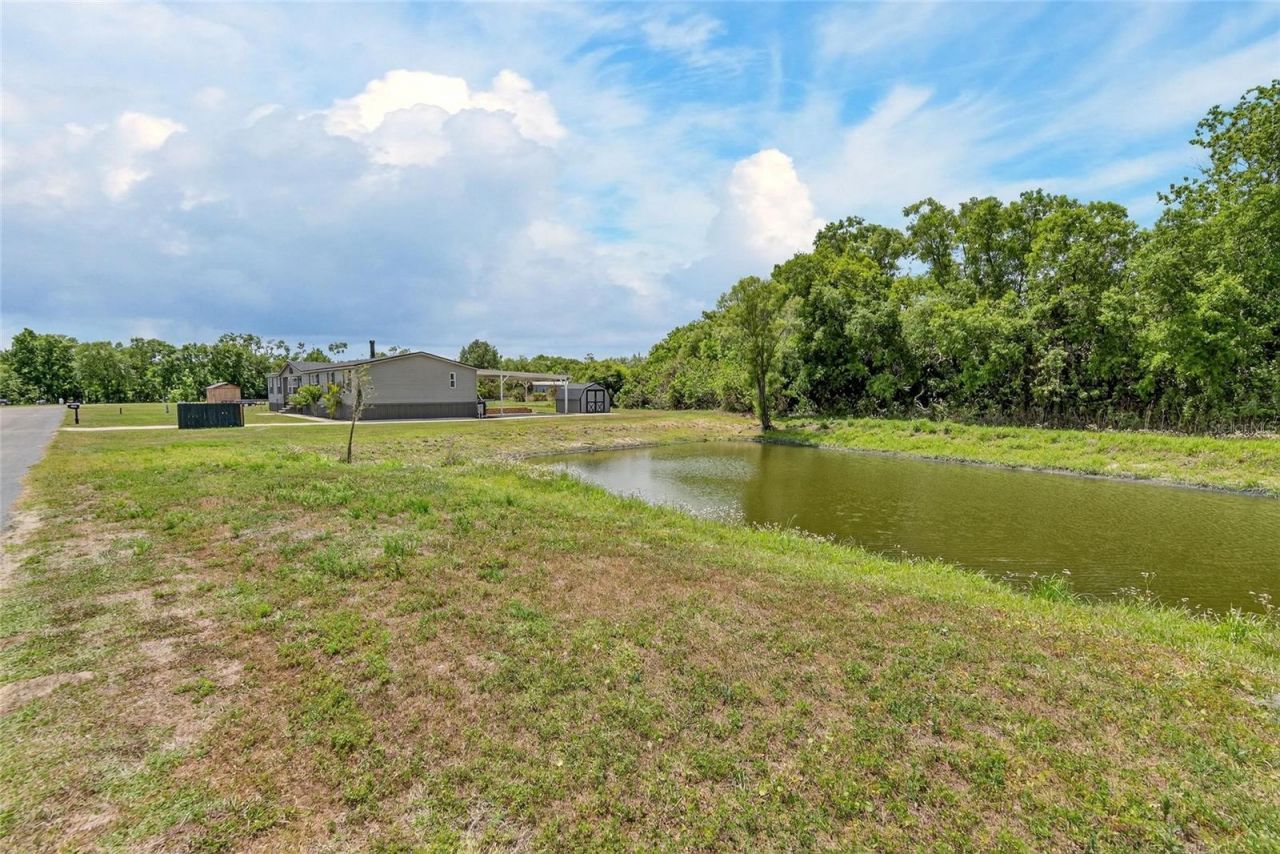 9150 Wood Terrace Drive , Tampa, FL 33637 Photo