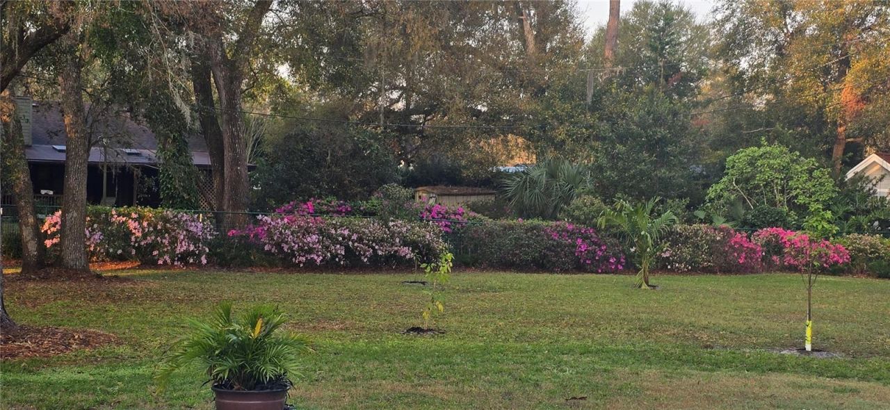 805 Bay Tree Circle, Deland, FL 32724 Photo