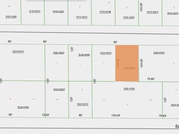 111 EDGEWOOD DRIVE , GEORGETOWN, FL 32139