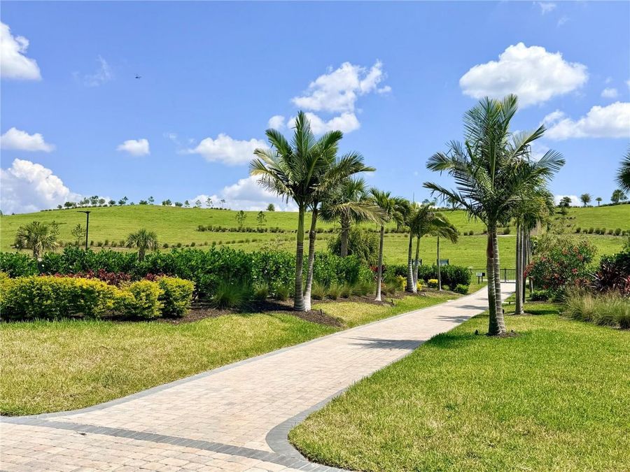 Property Image 58