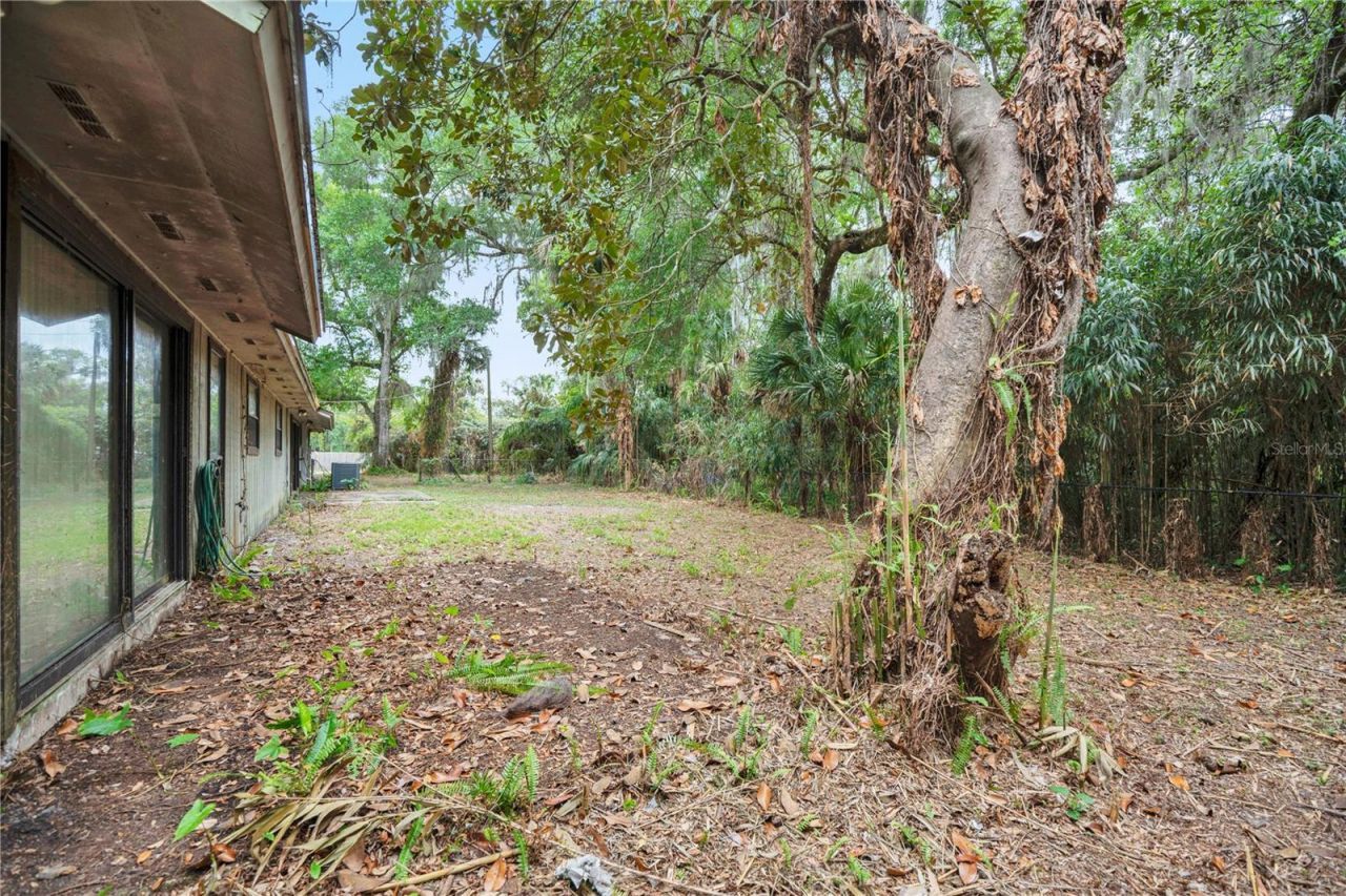 599 Lake Geneva Road , Geneva, FL 32732 Photo