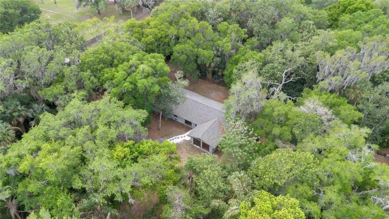 599 Lake Geneva Road , Geneva, FL 32732 Photo