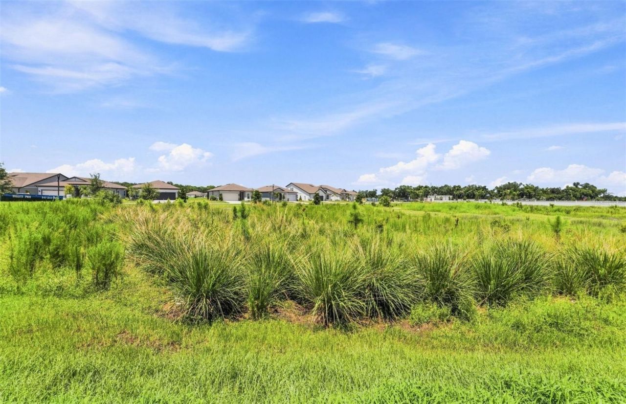14752 Sunlit Circle, Parrish, FL 34219 Photo